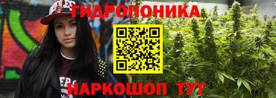 apvp Обь