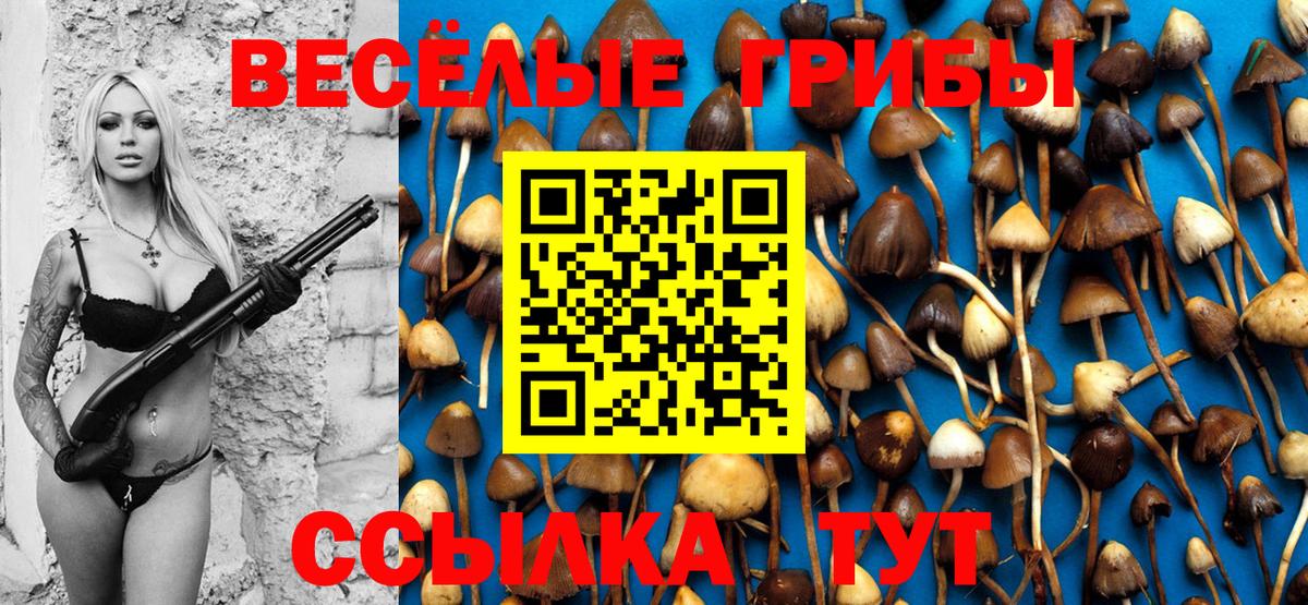 где купить наркоту  Галлюциногенные грибы Psilocybe  Вход с VPN  Сибай  Галлюциногенные грибы GOLDEN TEACHER 